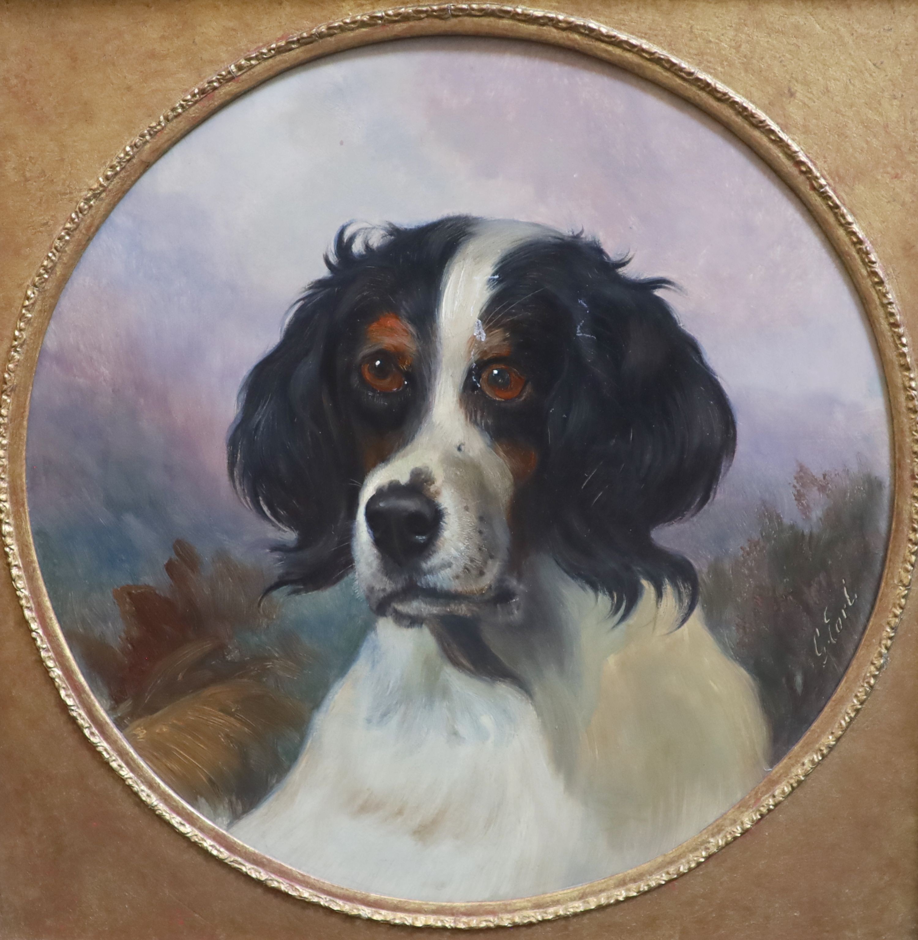 George Earl (fl.1856-1883), Portrait of a spaniel, Oil on wooden panel, Tondo, 36cm.